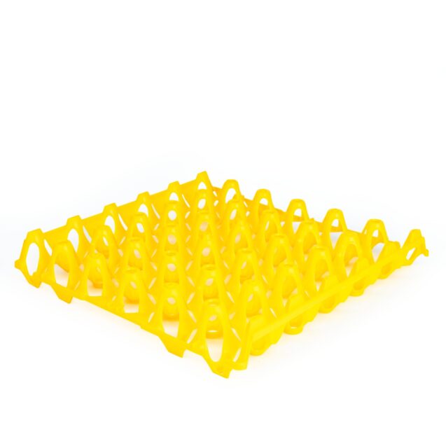 Alvéoles jaune sans oeufs