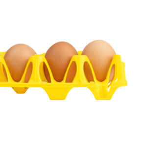 Alvéole jaune avec des oeufs