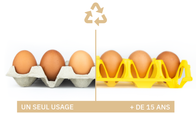 Comparaison de notre alvéole recyclable et réutilisable avec des alvéoles à usage unique en cellulose