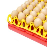 Divider with tray and eggs