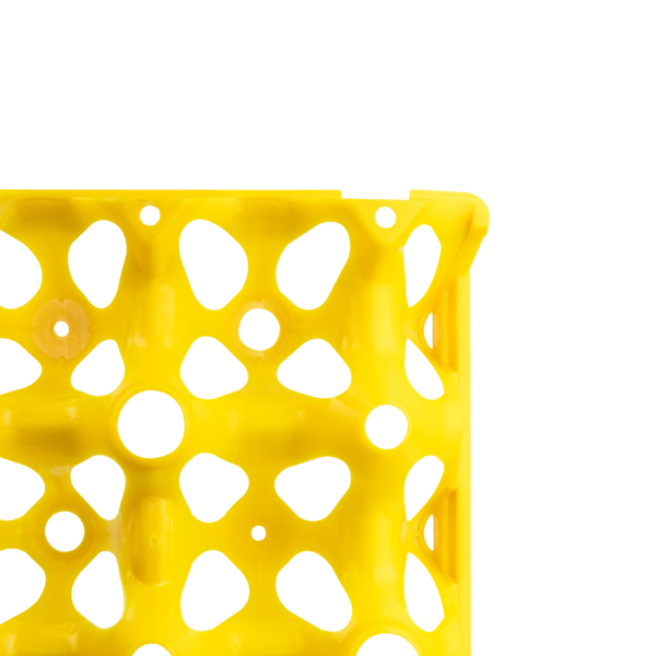 Egg tray face