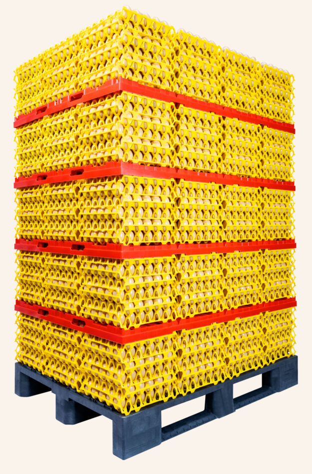 Full EPS System with 5 layers