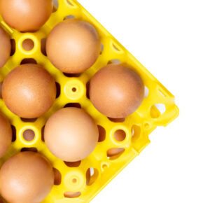 One tray fits all sizes of eggs