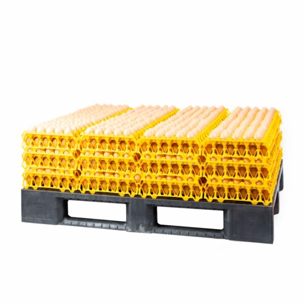 Pallet with egg trays