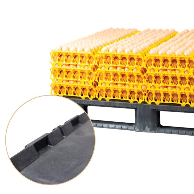 Stability and safety system for eggs
